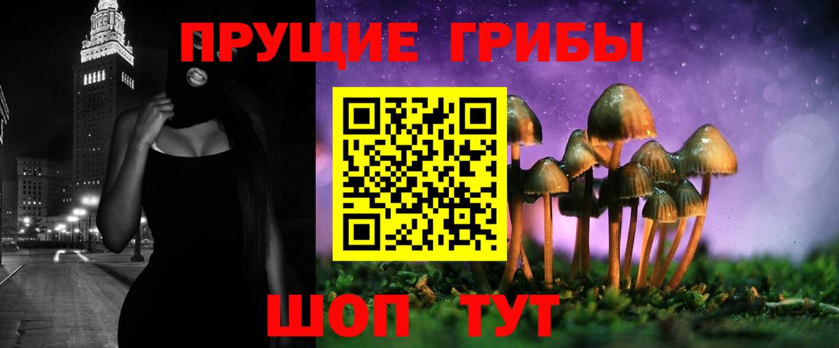 Хабаровск  Галлюциногенные грибы MAGIC MUSHROOMS  Вход с VPN 