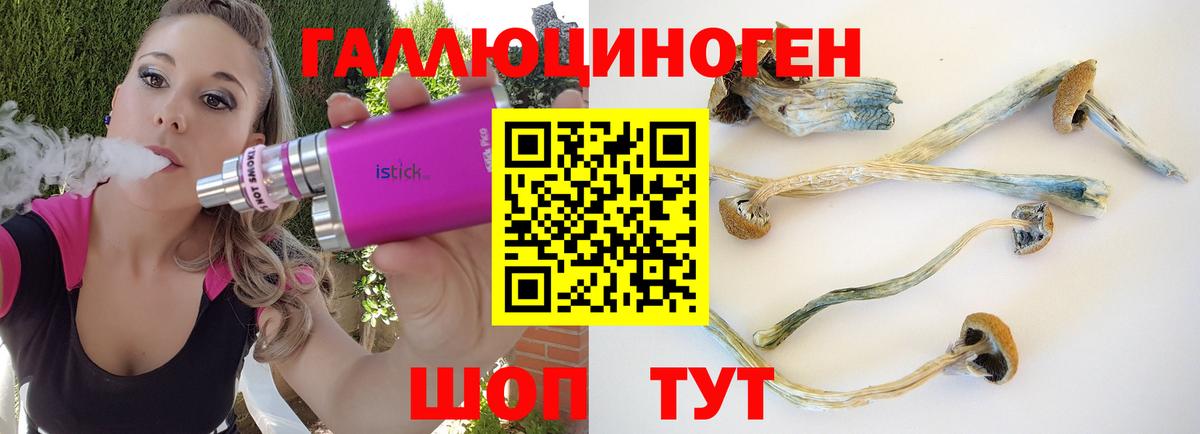 Псилоцибиновые грибы мицелий Хабаровск